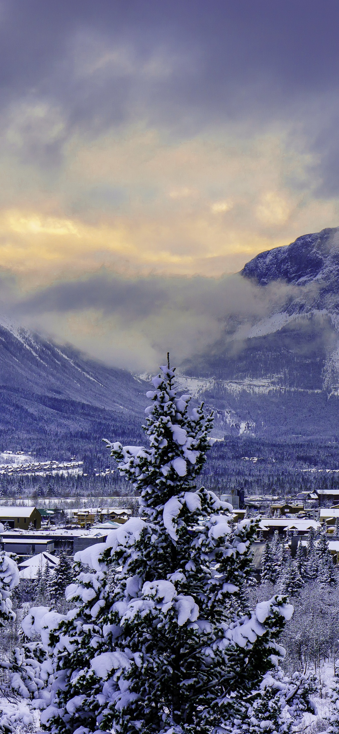 Green Trees Near Mountain During Daytime. Wallpaper in 1125x2436 Resolution