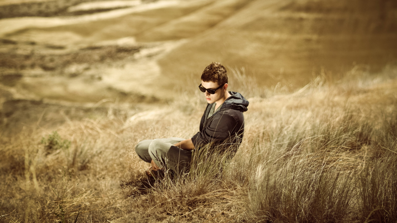 草, 草家庭, 生态区, 阳光, 性质 壁纸 1280x720 允许