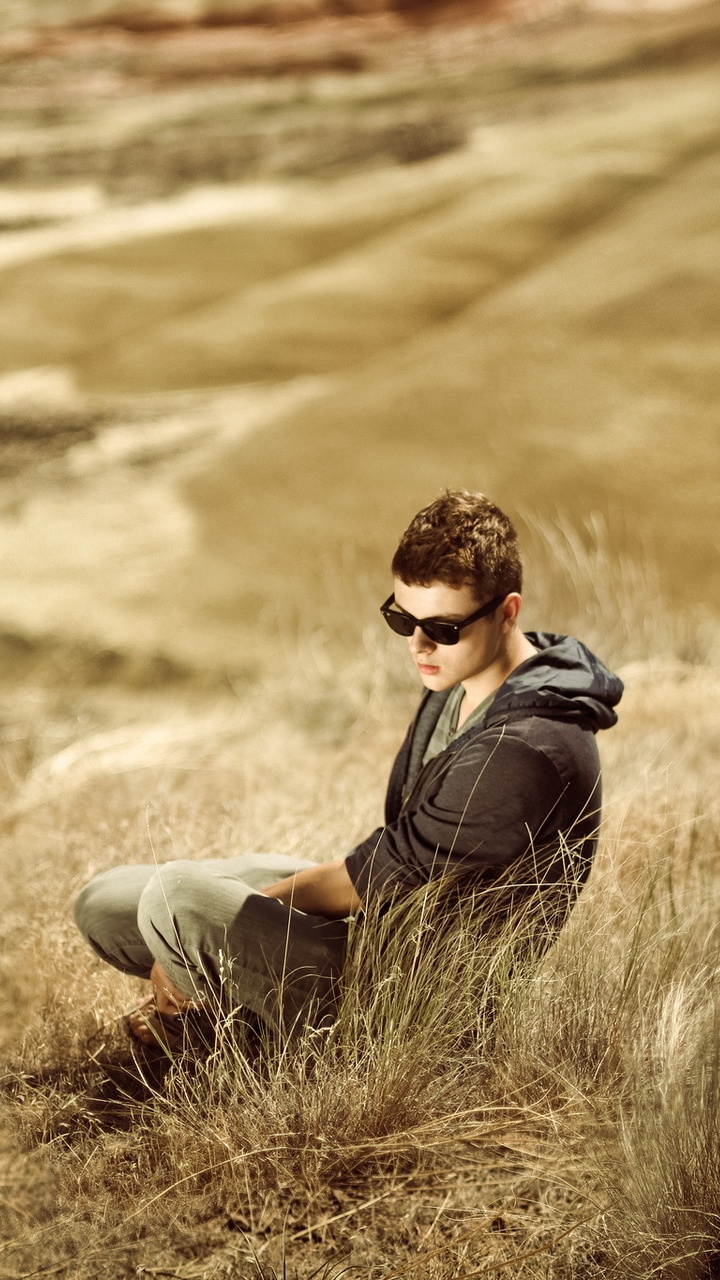 Gras, Gras-Familie, Ökoregion, Sonnenlicht, Prairie. Wallpaper in 720x1280 Resolution