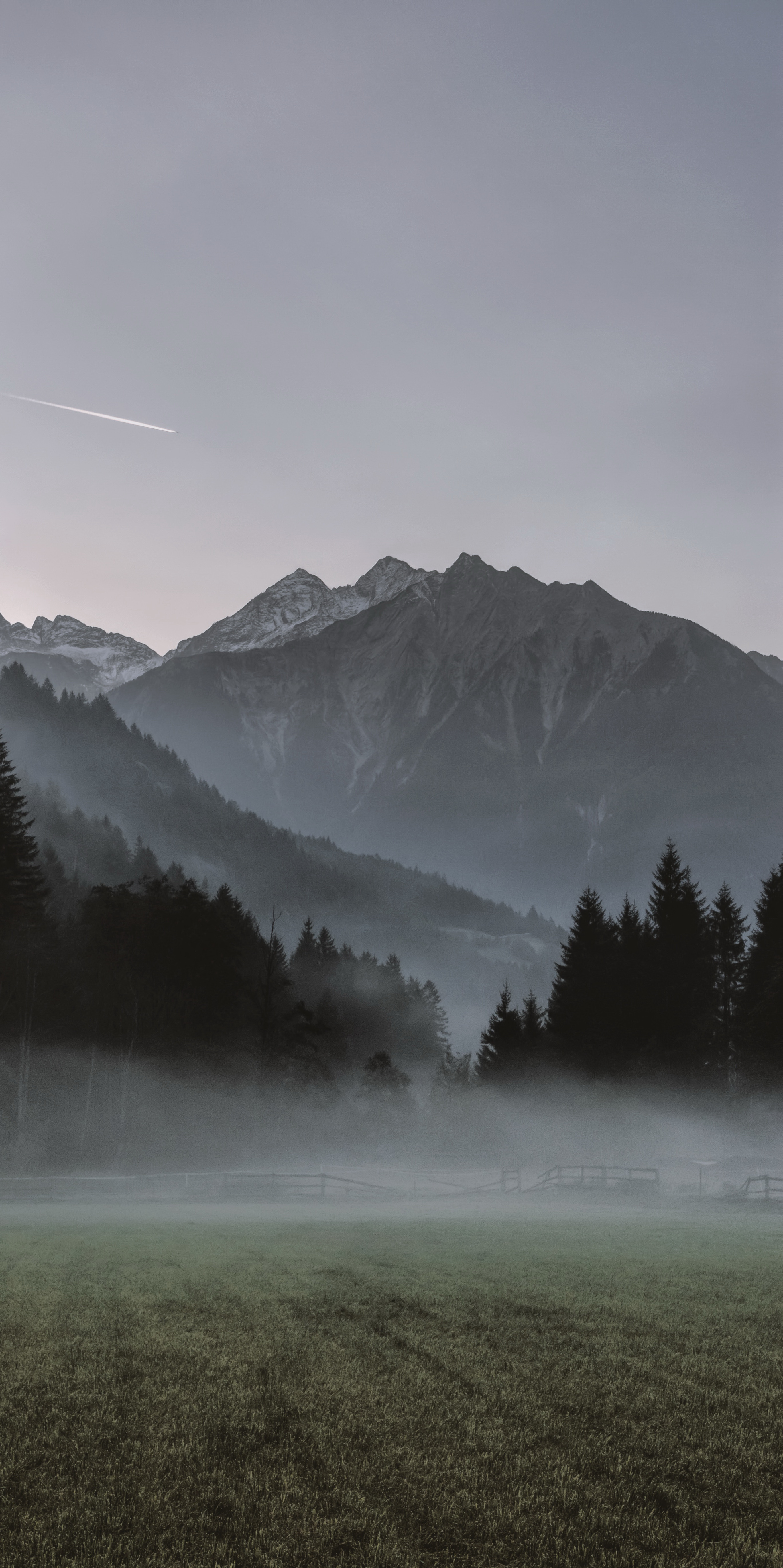 fog phone wallpaper