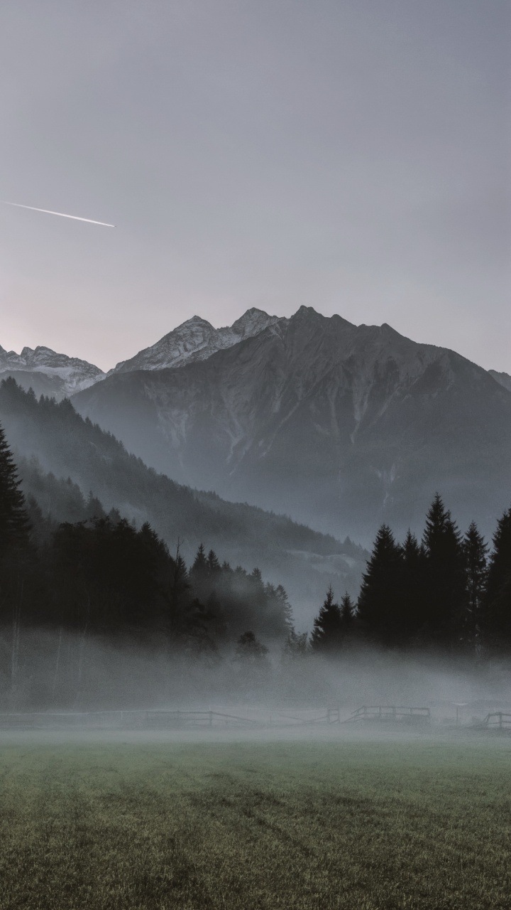 Tour de L'horloge, Soundcloud, Atmosphère, L'écorégion, Lumière. Wallpaper in 720x1280 Resolution