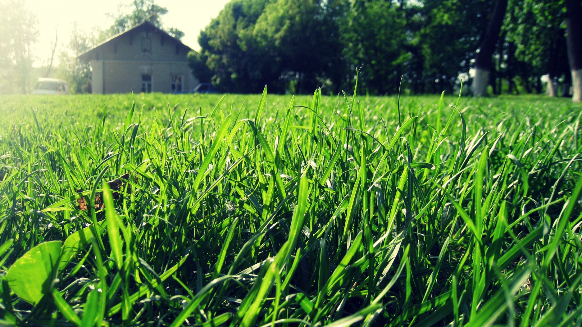 Champ D'herbe Verte Près de la Maison Blanche Pendant la Journée. Wallpaper in 1920x1080 Resolution