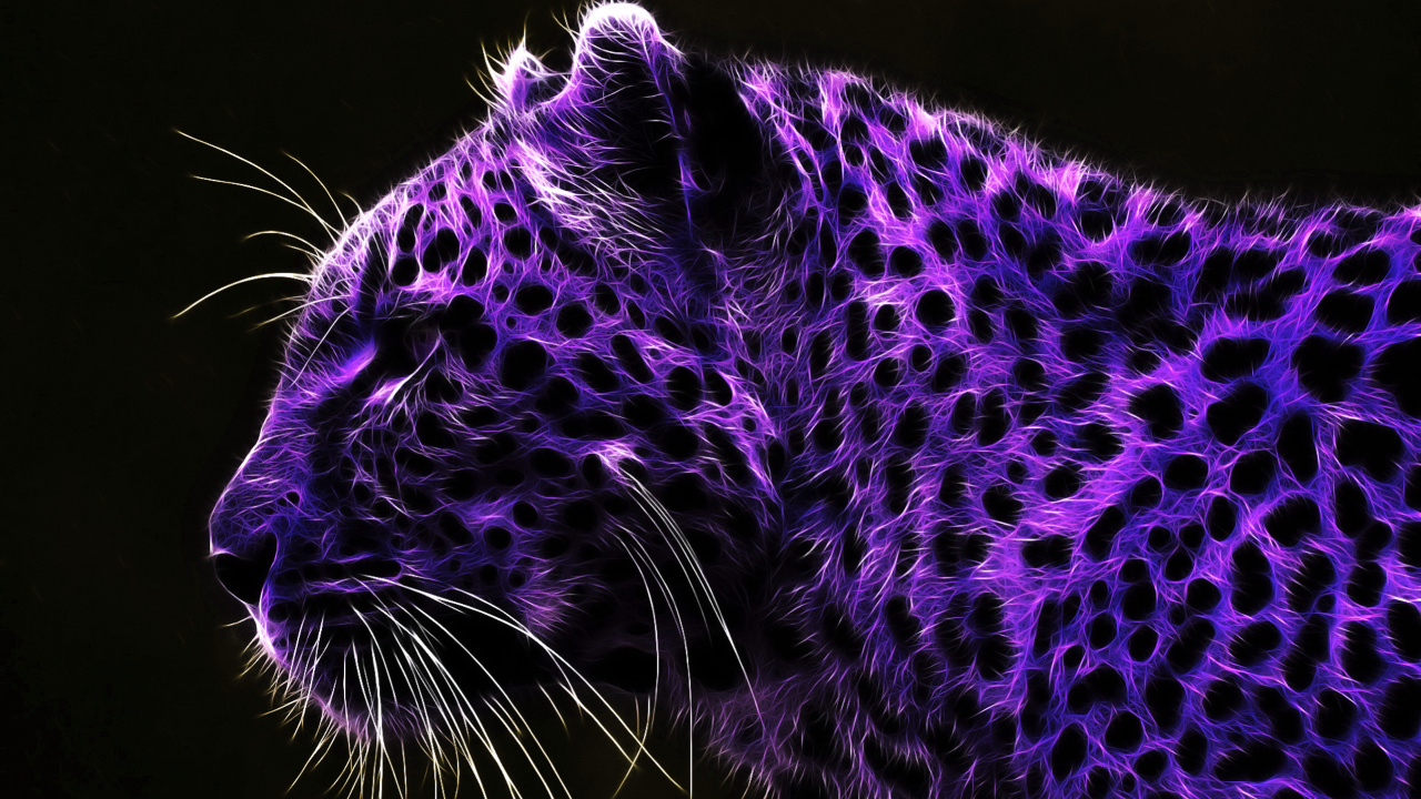 Black and White Leopard Textile. Wallpaper in 1280x720 Resolution