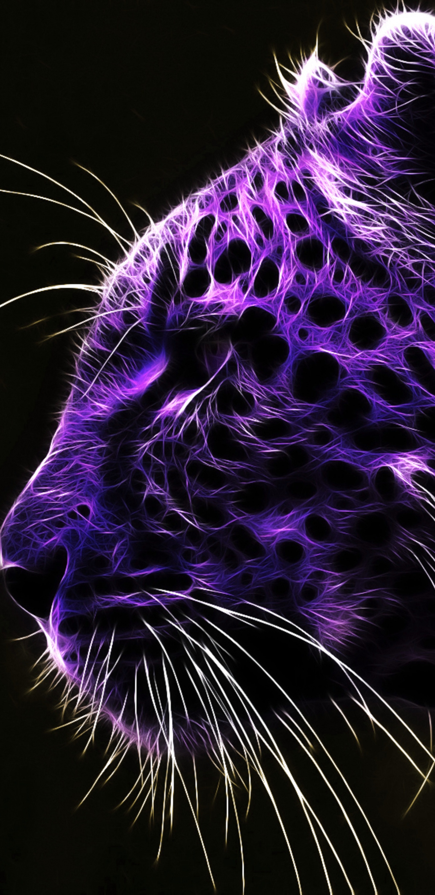 老虎, 猫科, 雪豹, 胡须, 紫色的 壁纸 1440x2960 允许