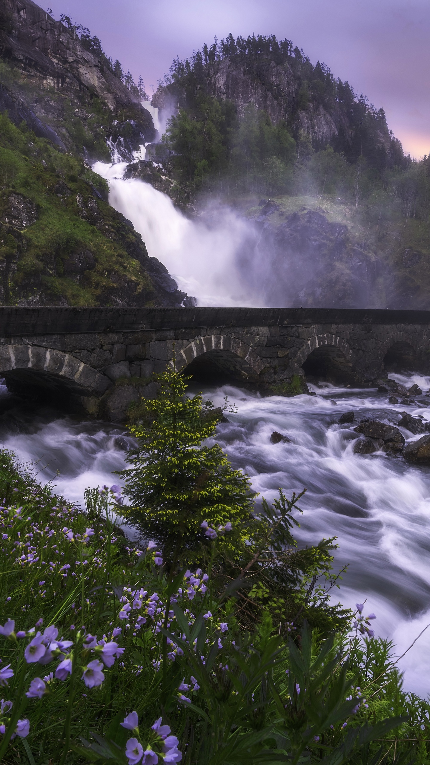 Pont en Béton Gris Au-dessus de la Rivière. Wallpaper in 1440x2560 Resolution