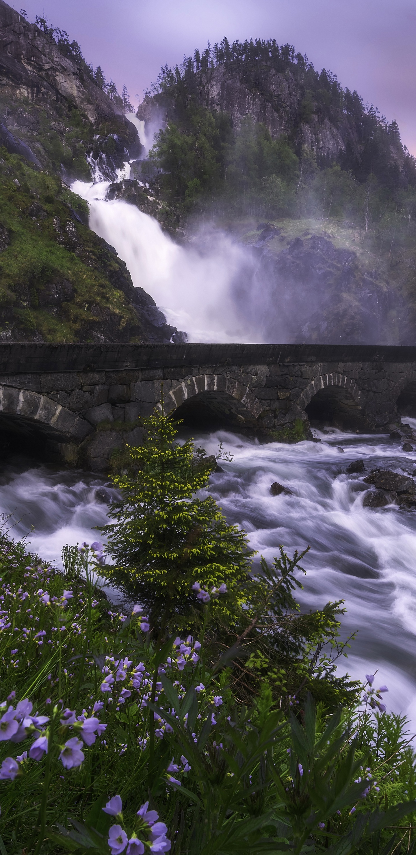 Gray Concrete Bridge Over River. Wallpaper in 1440x2960 Resolution