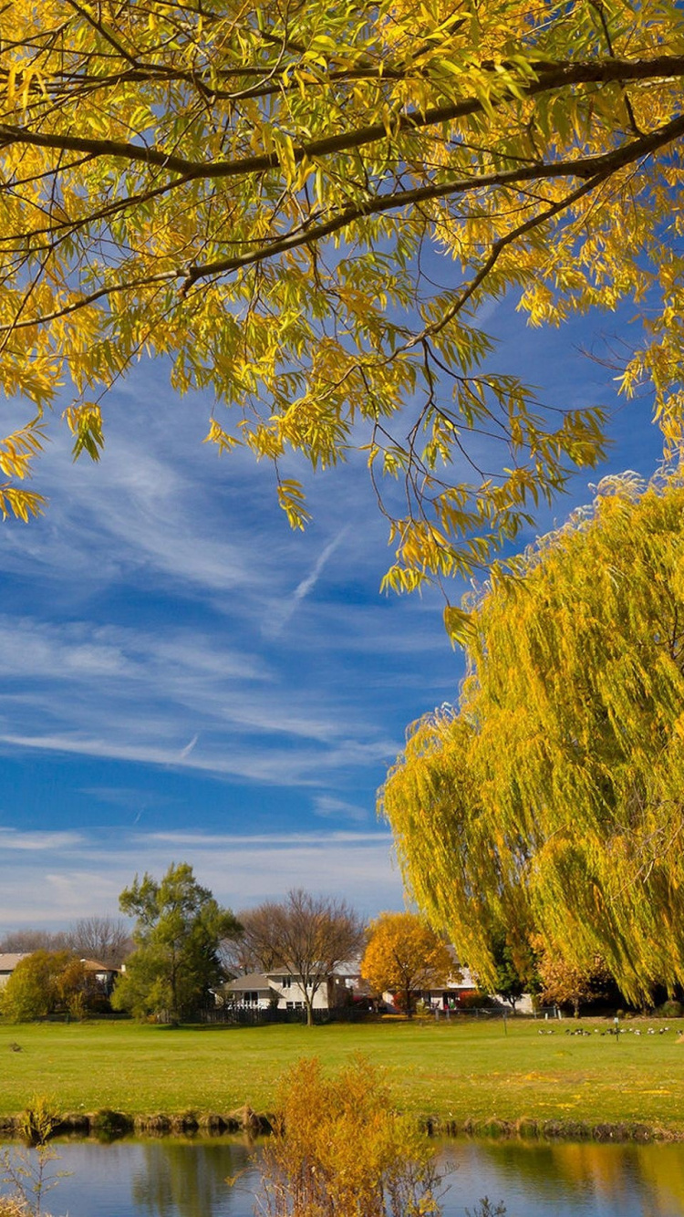 Arbre à Feuilles Jaunes Près D'un Plan D'eau Sous un Ciel Bleu Pendant la Journée. Wallpaper in 750x1334 Resolution