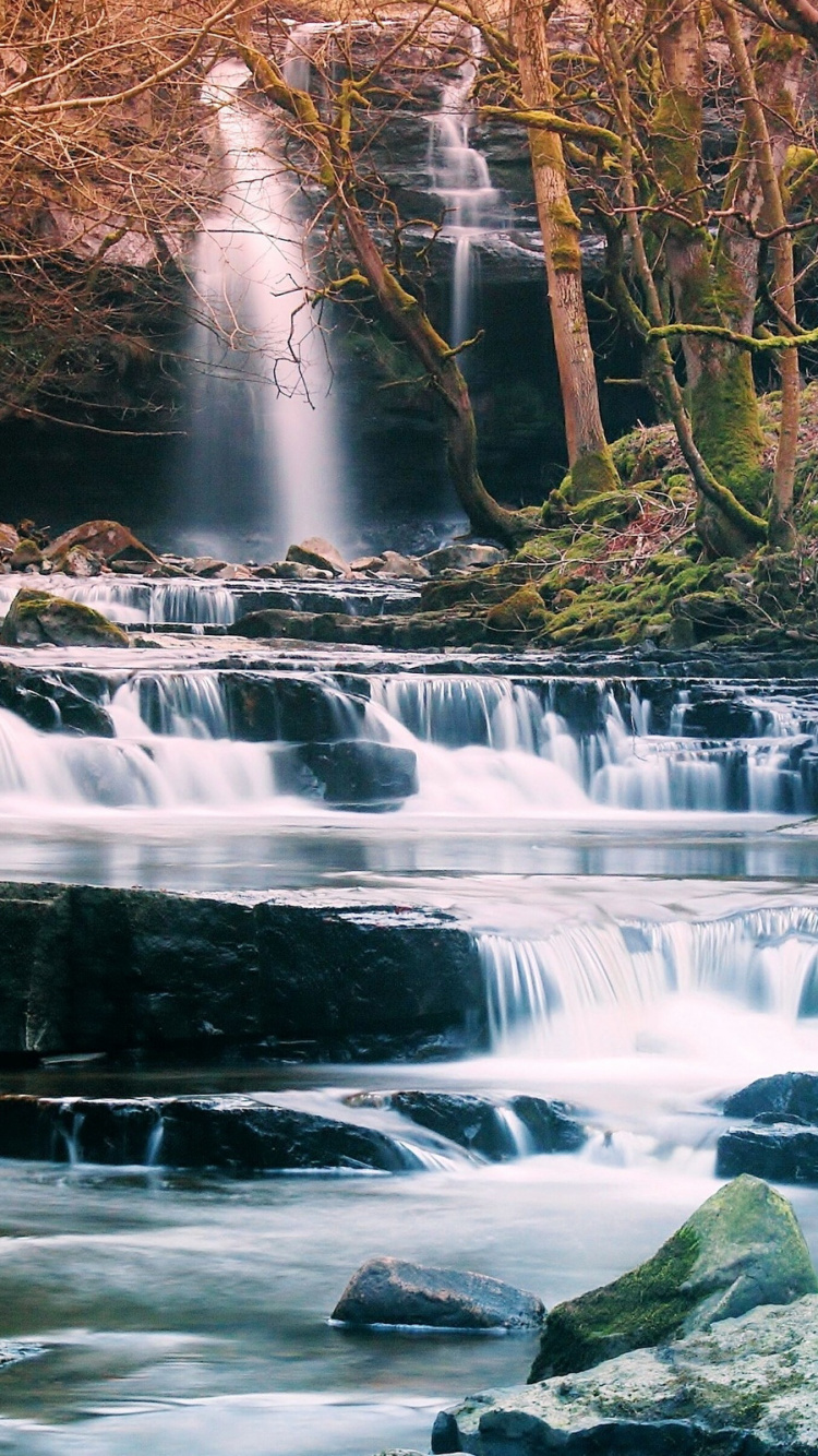 el Agua Cae en Medio Del Bosque. Wallpaper in 750x1334 Resolution