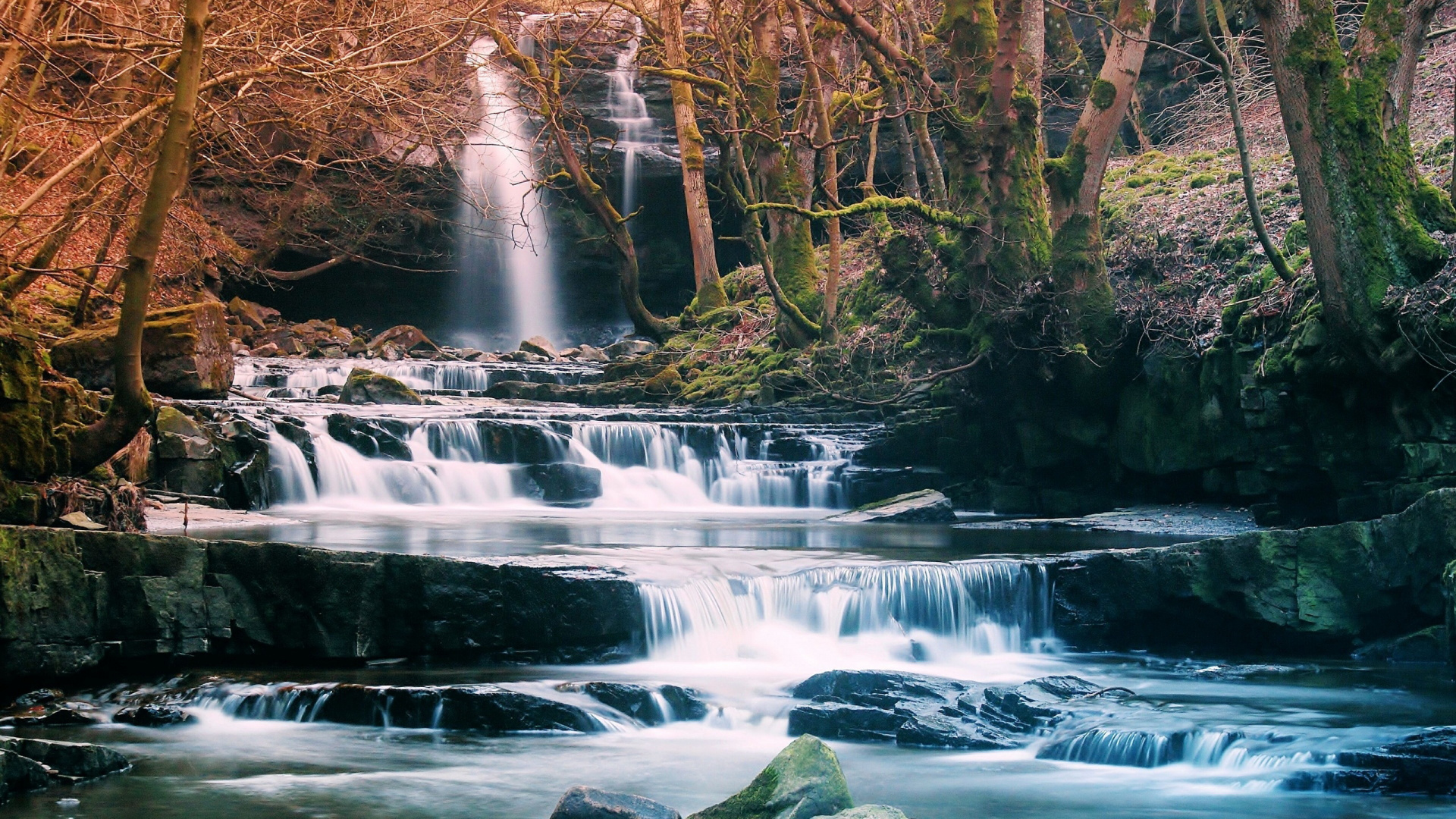 Water Falls in The Middle of The Woods. Wallpaper in 1920x1080 Resolution