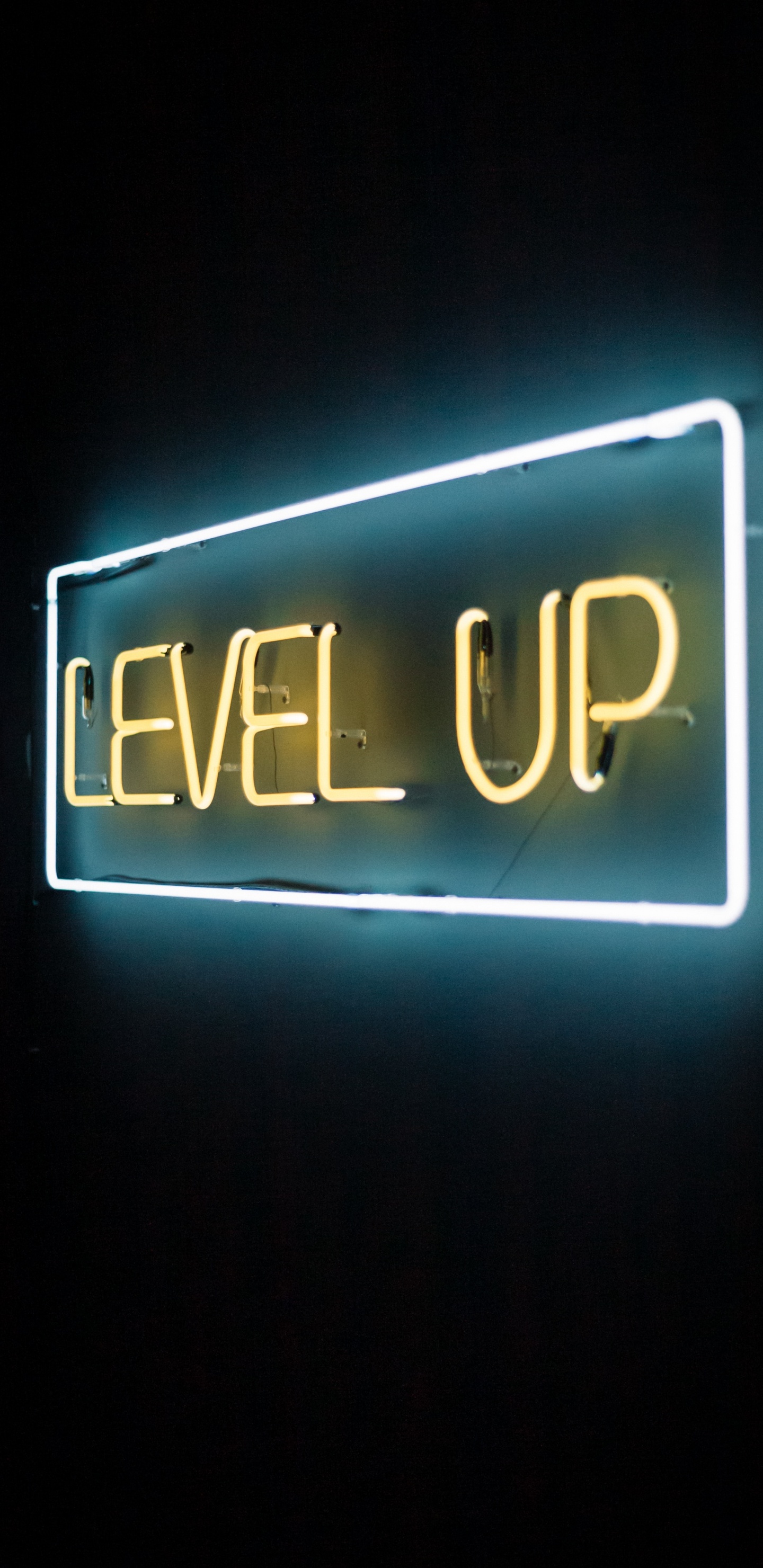 Néon, Signe au Néon, Texte, Horloge, la Signature Électronique. Wallpaper in 1440x2960 Resolution