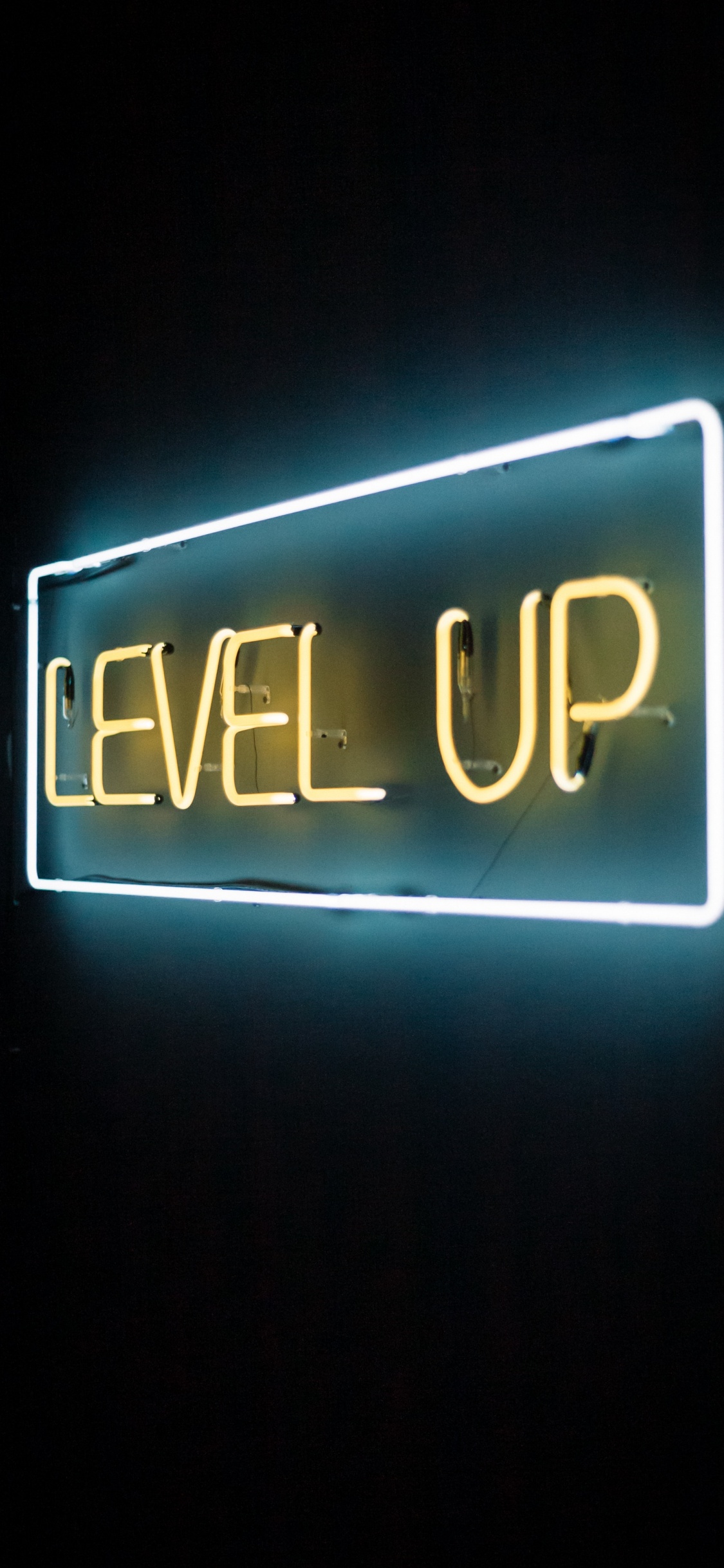 Neon, Neon Sign, Text, Clock, Electronic Signage. Wallpaper in 1125x2436 Resolution