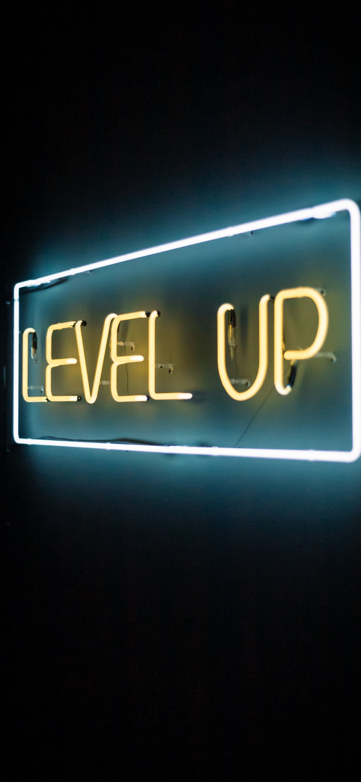 Neon, Neon Sign, Text, Clock, Electronic Signage. Wallpaper in 1242x2688 Resolution