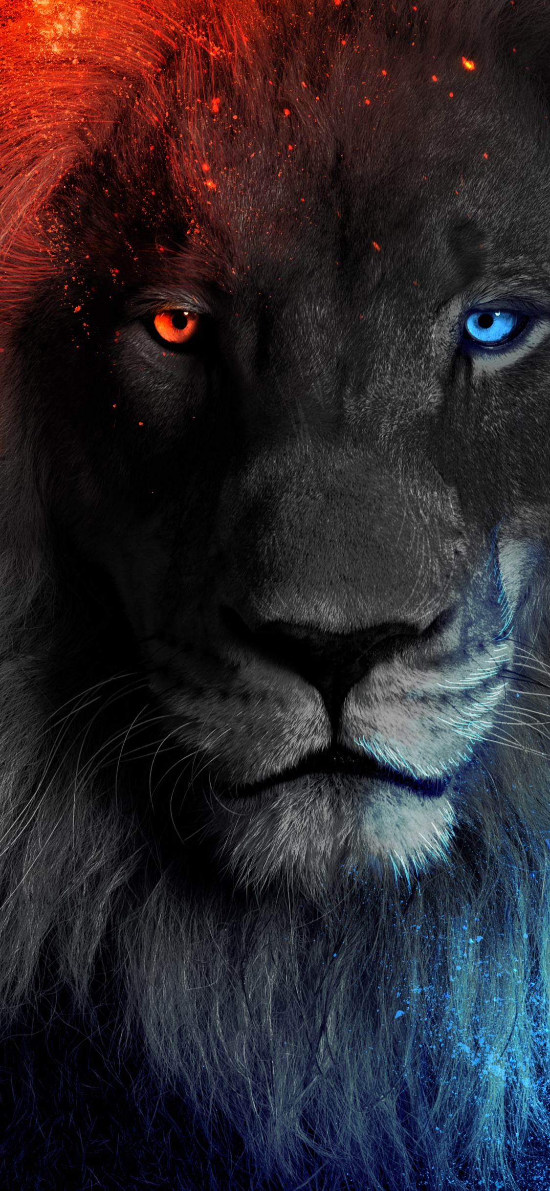 Lion, Simba, Lion Blanc, Moustache, Felidae. Wallpaper in 1125x2436 Resolution