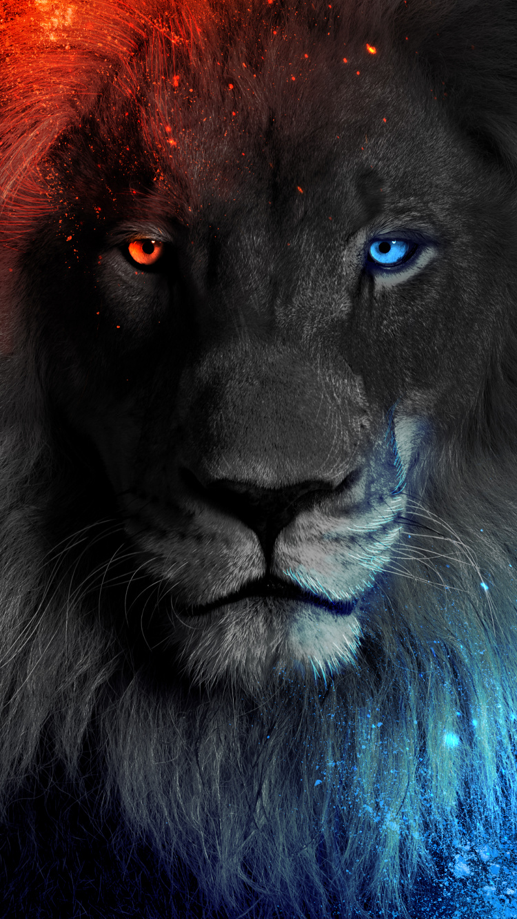 Lion, Simba, Lion Blanc, Moustache, Felidae. Wallpaper in 750x1334 Resolution