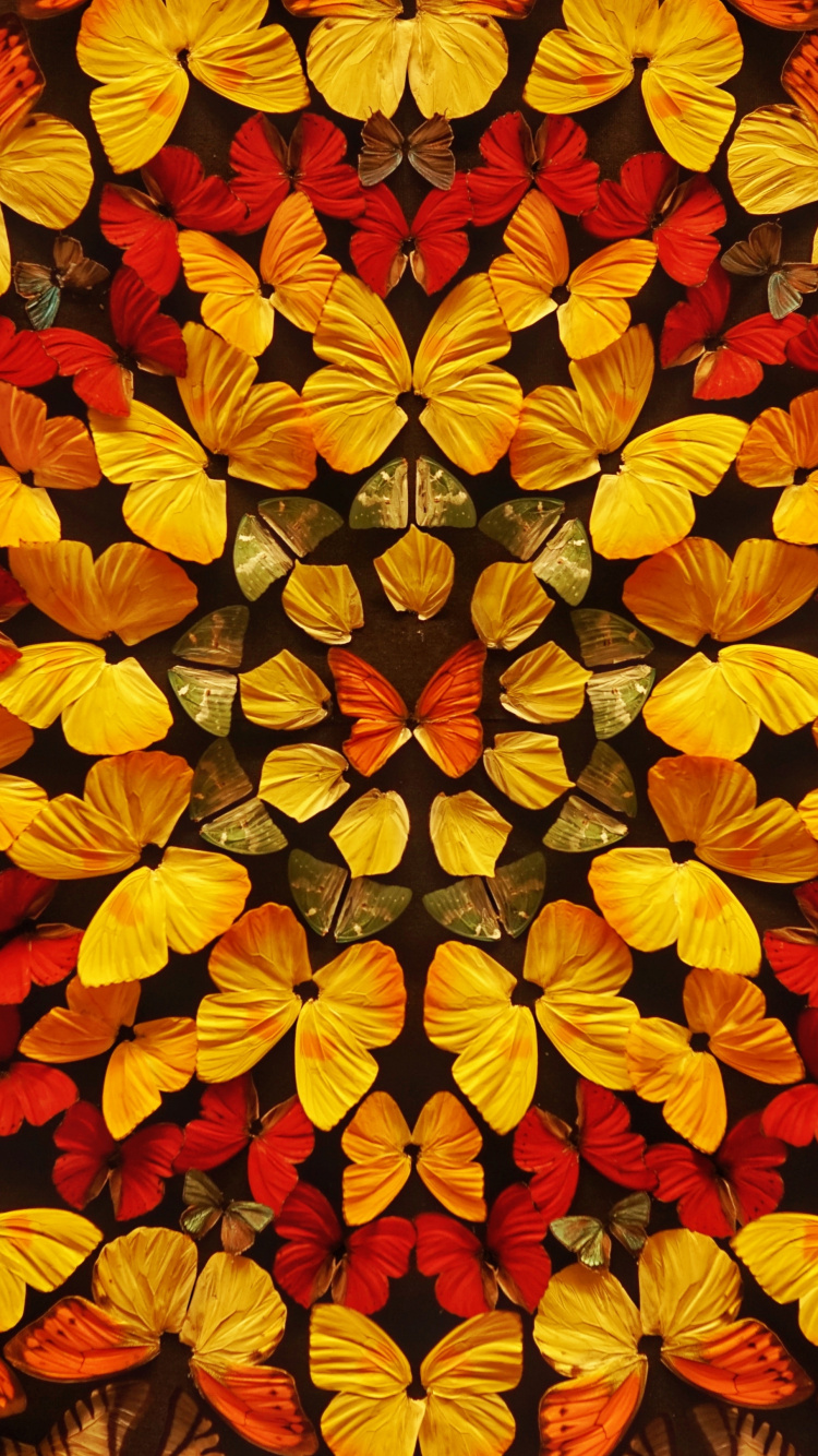 Red and Yellow Flower Petals. Wallpaper in 750x1334 Resolution