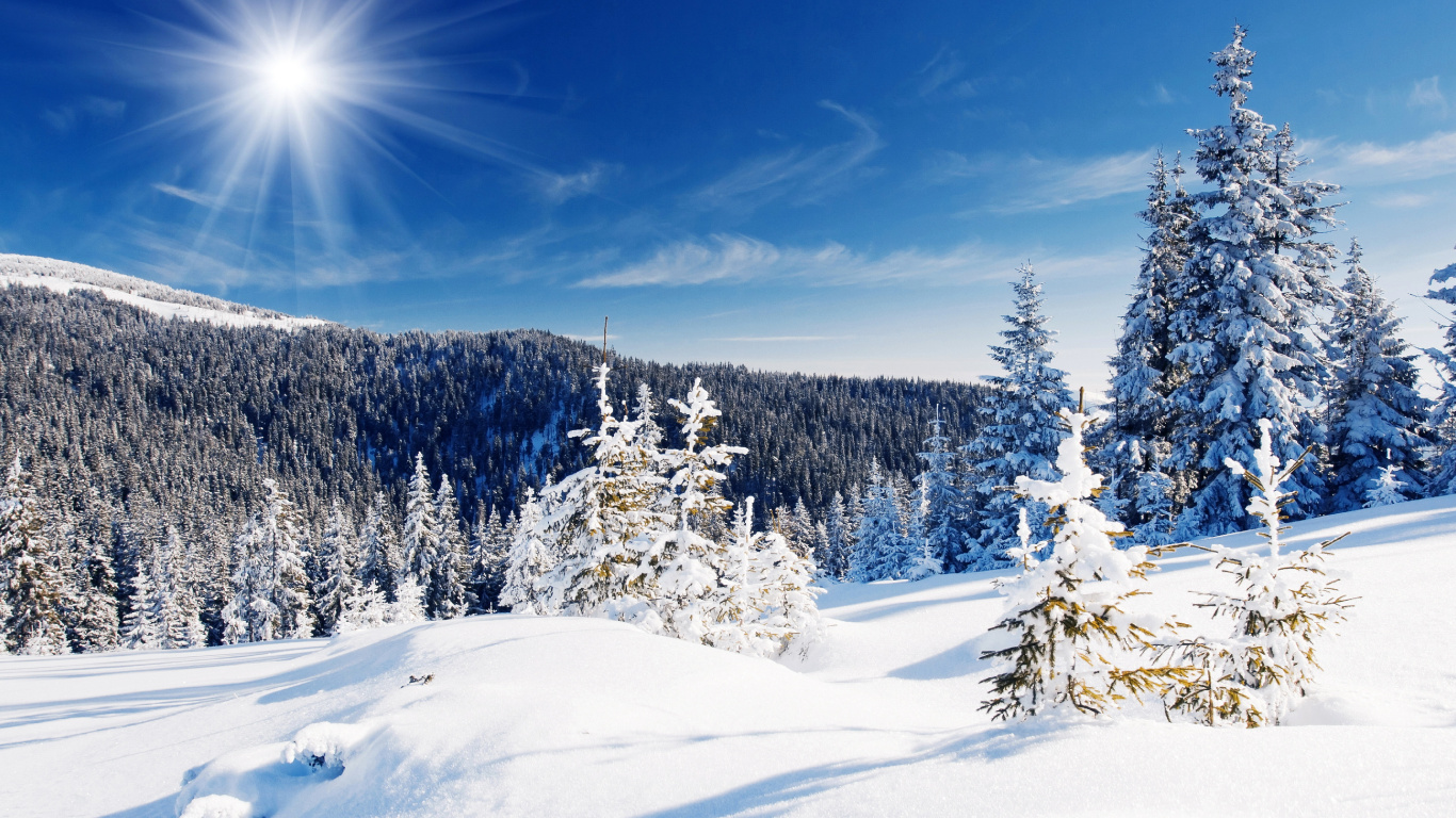 Schneebedeckte Bäume Unter Blauem Himmel Tagsüber. Wallpaper in 1366x768 Resolution