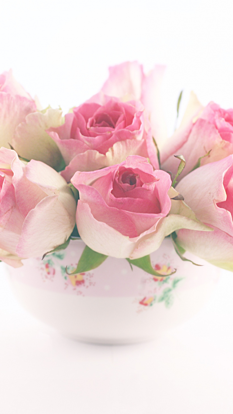 Pink Roses in White Ceramic Vase. Wallpaper in 750x1334 Resolution