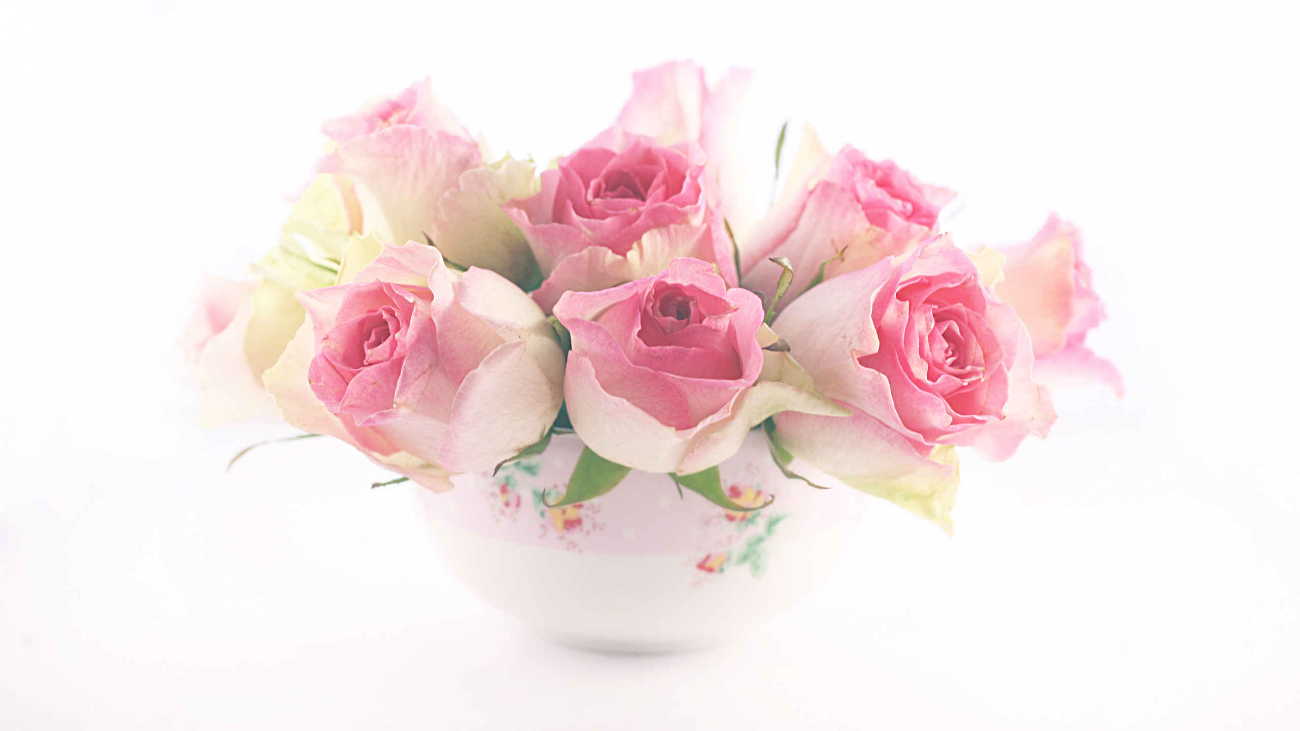 Roses Roses Dans un Vase en Céramique Blanche. Wallpaper in 2560x1440 Resolution