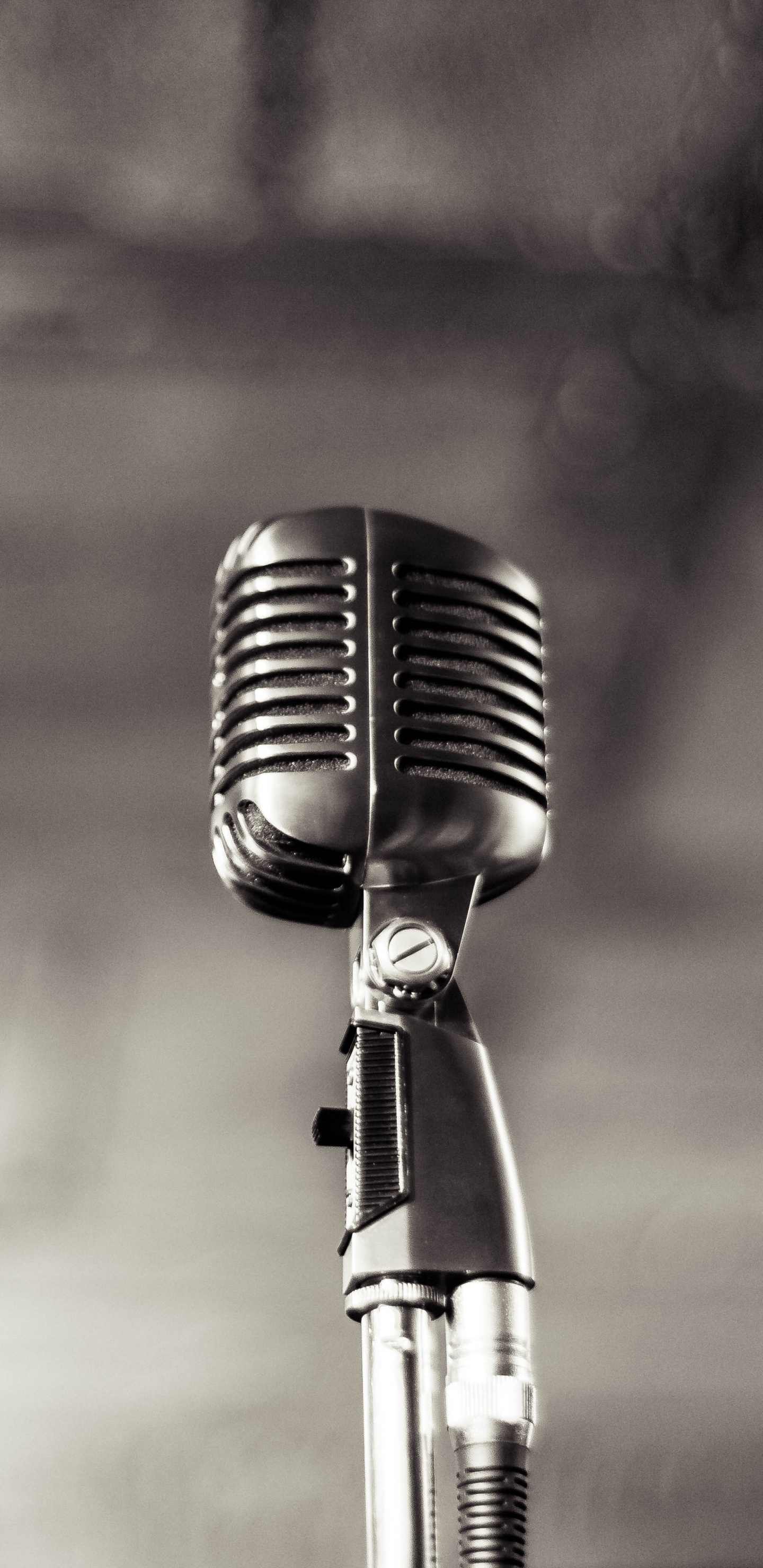 Microphone, Black and White, Musician, Microphone Stand, Audio Equipment. Wallpaper in 1440x2960 Resolution