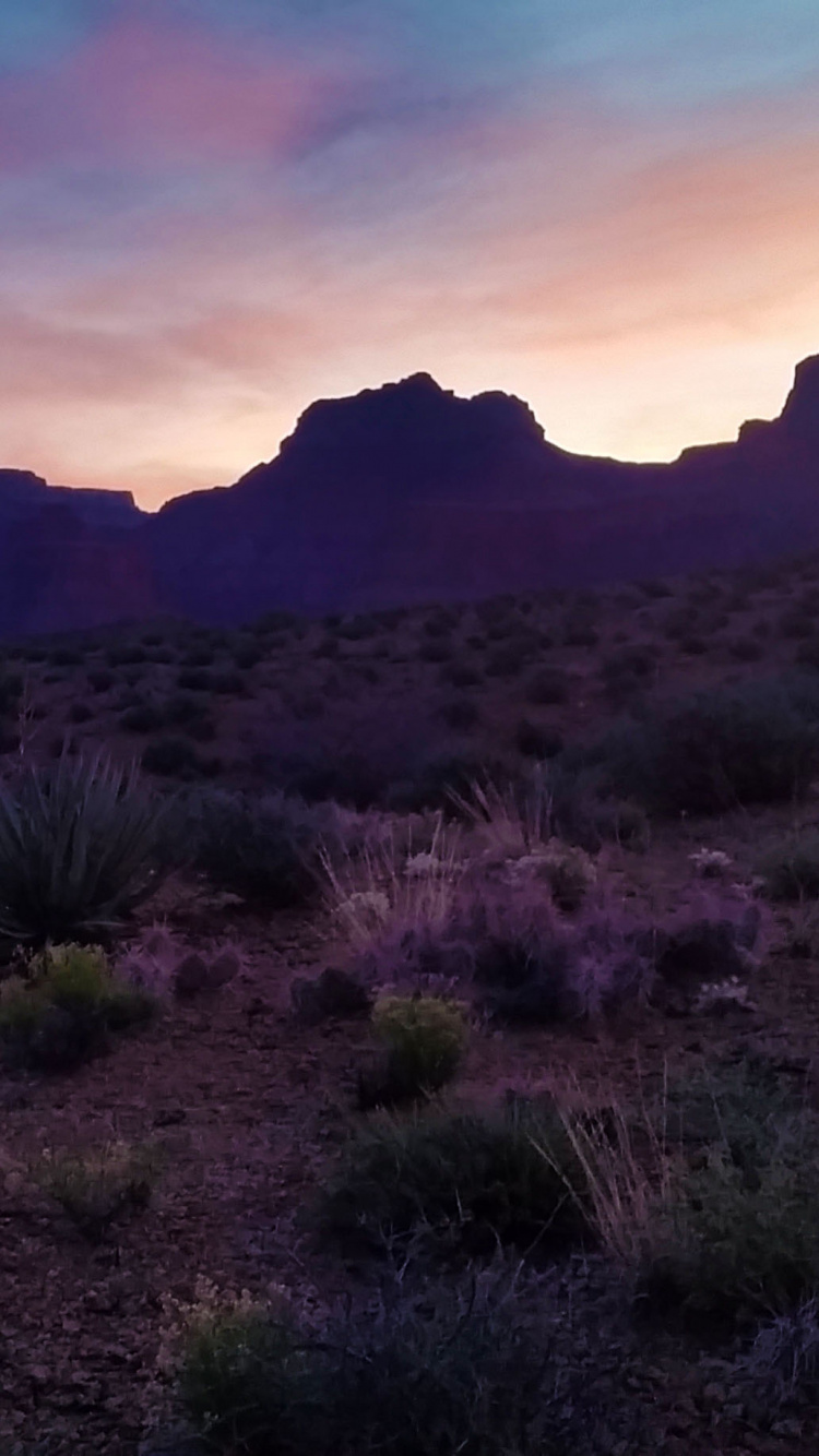 Green Grass Field Near Mountain During Sunset. Wallpaper in 750x1334 Resolution
