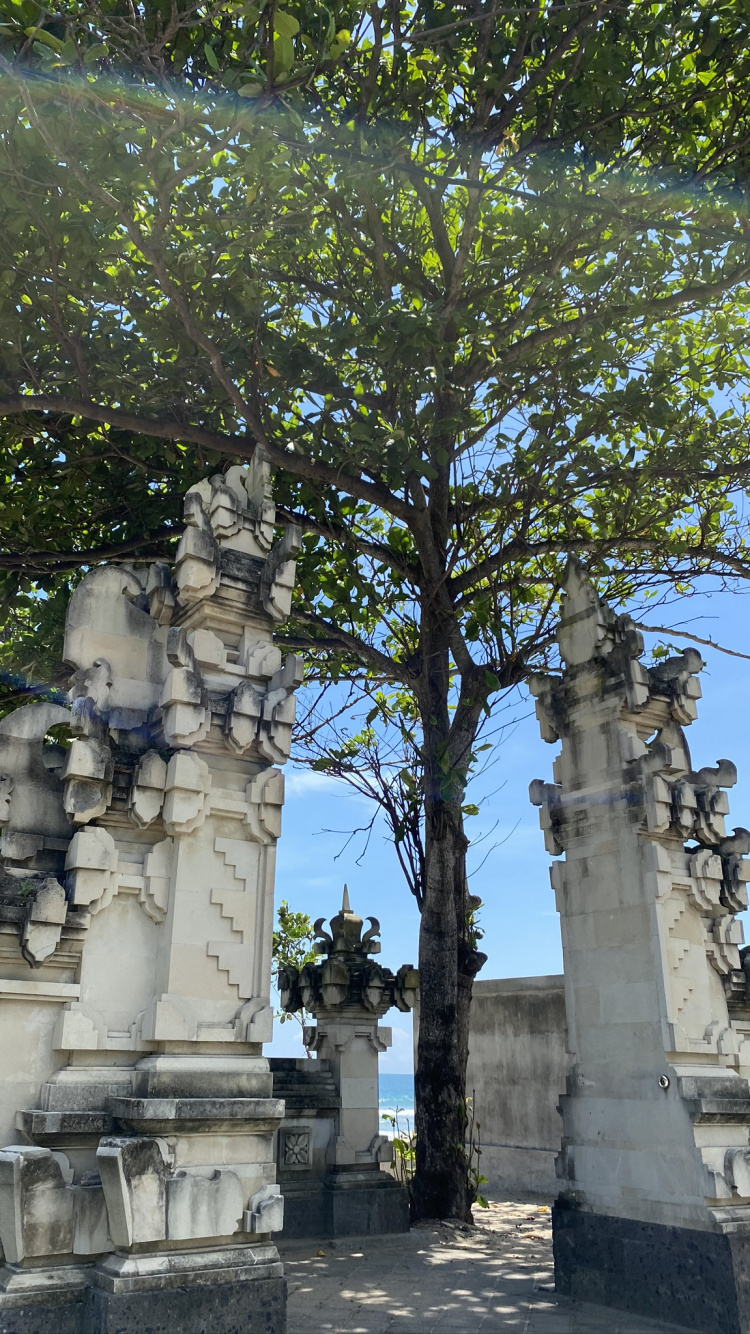 Indonesia, Bali, Estatua, la Historia Antigua, Planta Leñosa. Wallpaper in 750x1334 Resolution