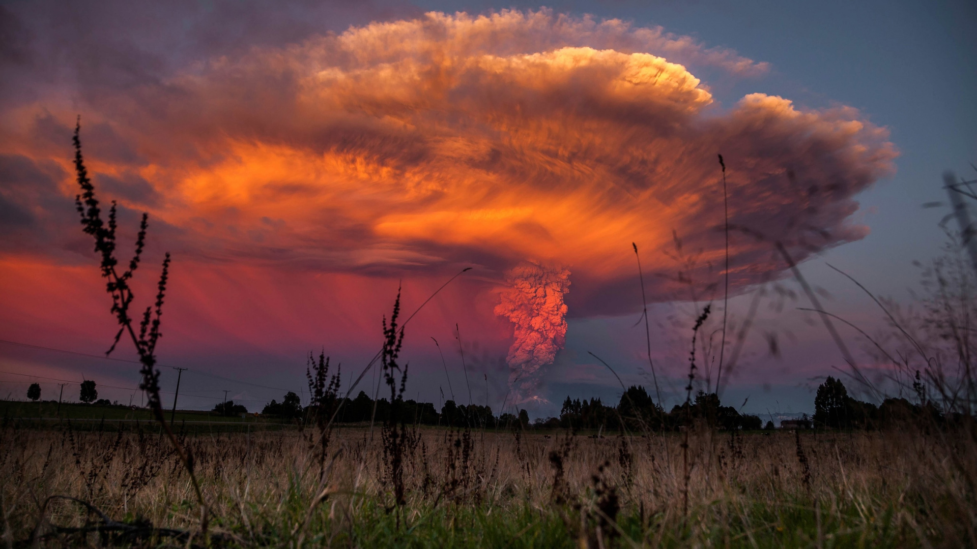 Campo de Hierba Verde Bajo el Cielo Nublado Naranja y Gris Durante la Puesta de Sol. Wallpaper in 1920x1080 Resolution