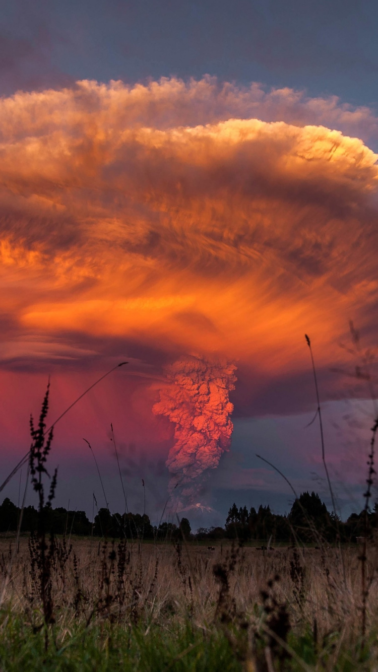 Green Grass Field Under Orange and Gray Cloudy Sky During Sunset. Wallpaper in 750x1334 Resolution