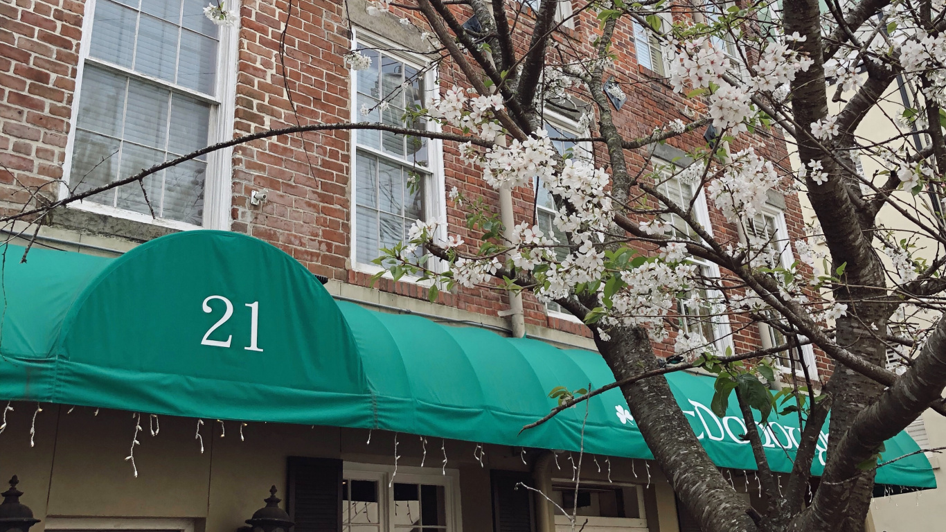 Rotes Und Weißes Betongebäude in Der Nähe Eines Kahlen Baumes Tagsüber. Wallpaper in 1366x768 Resolution