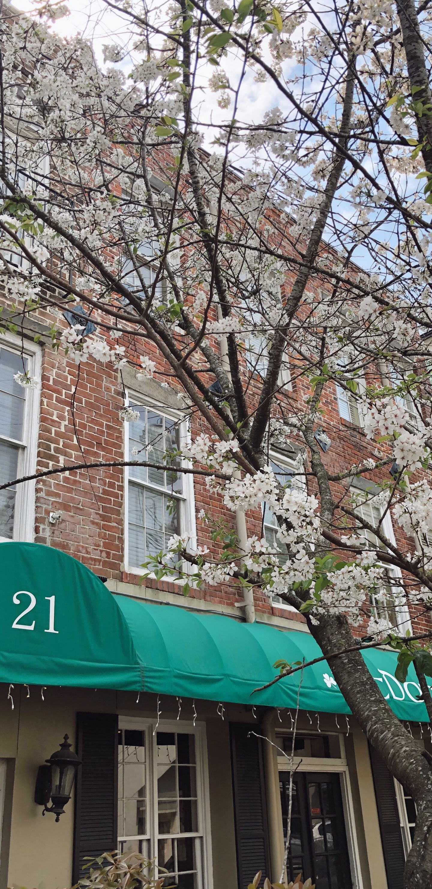 Rotes Und Weißes Betongebäude in Der Nähe Eines Kahlen Baumes Tagsüber. Wallpaper in 1440x2960 Resolution
