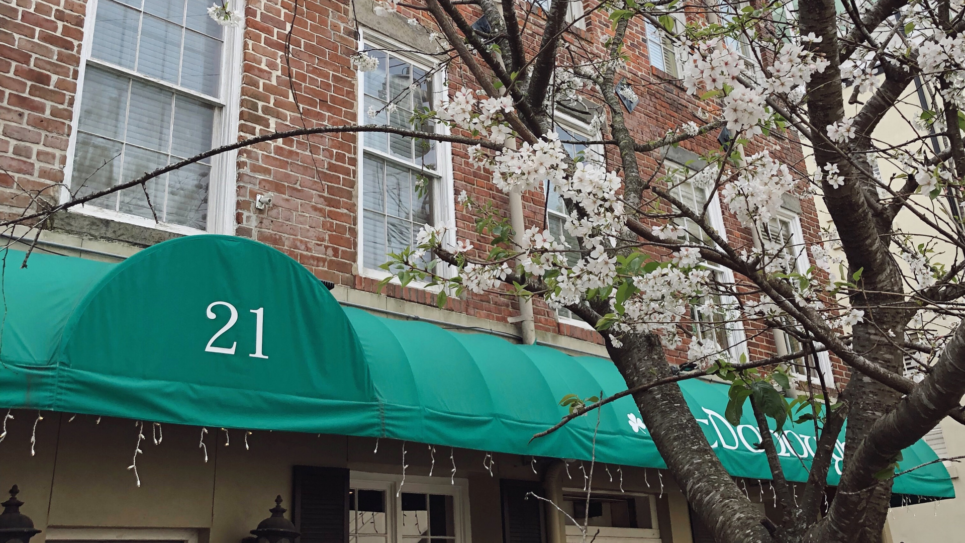 Rotes Und Weißes Betongebäude in Der Nähe Eines Kahlen Baumes Tagsüber. Wallpaper in 1920x1080 Resolution