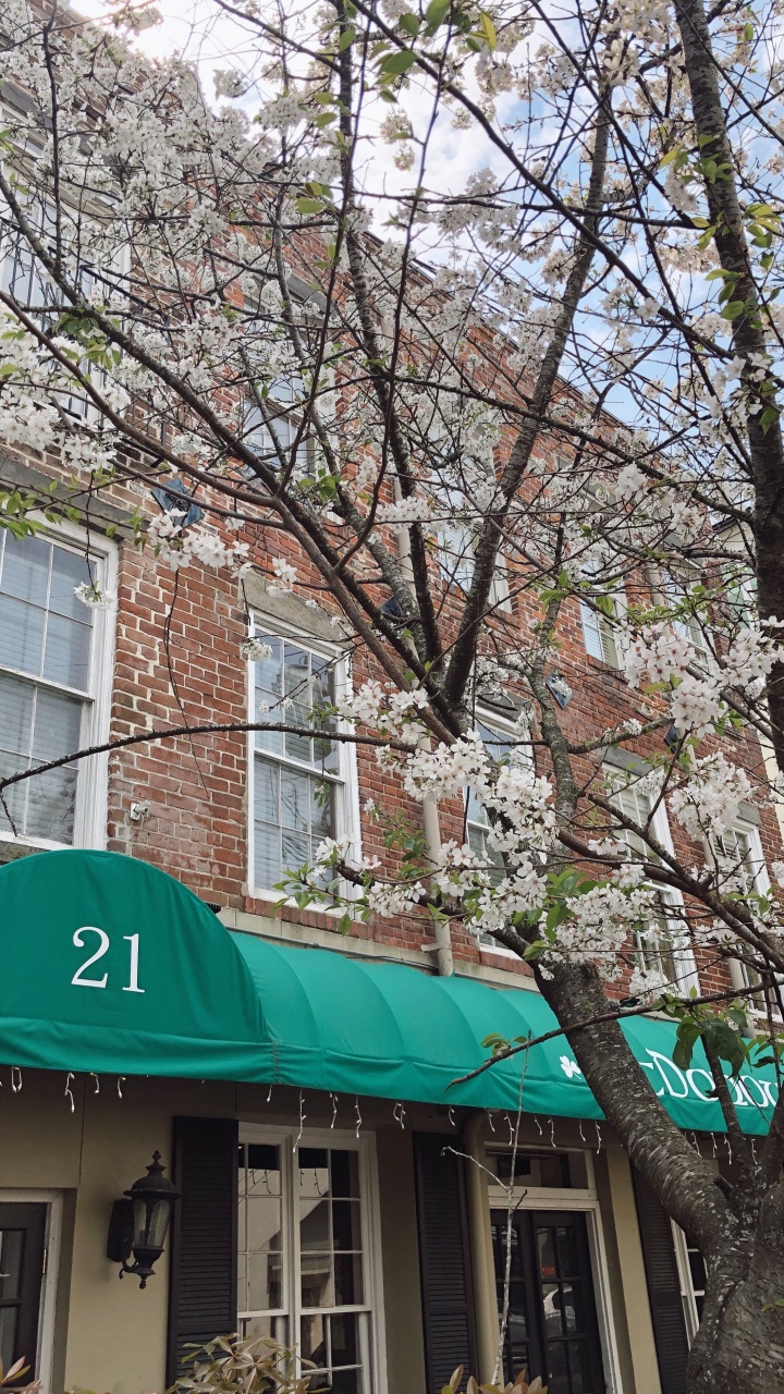 建筑, 屋顶, 街区, 酒店, 弹簧 壁纸 720x1280 允许