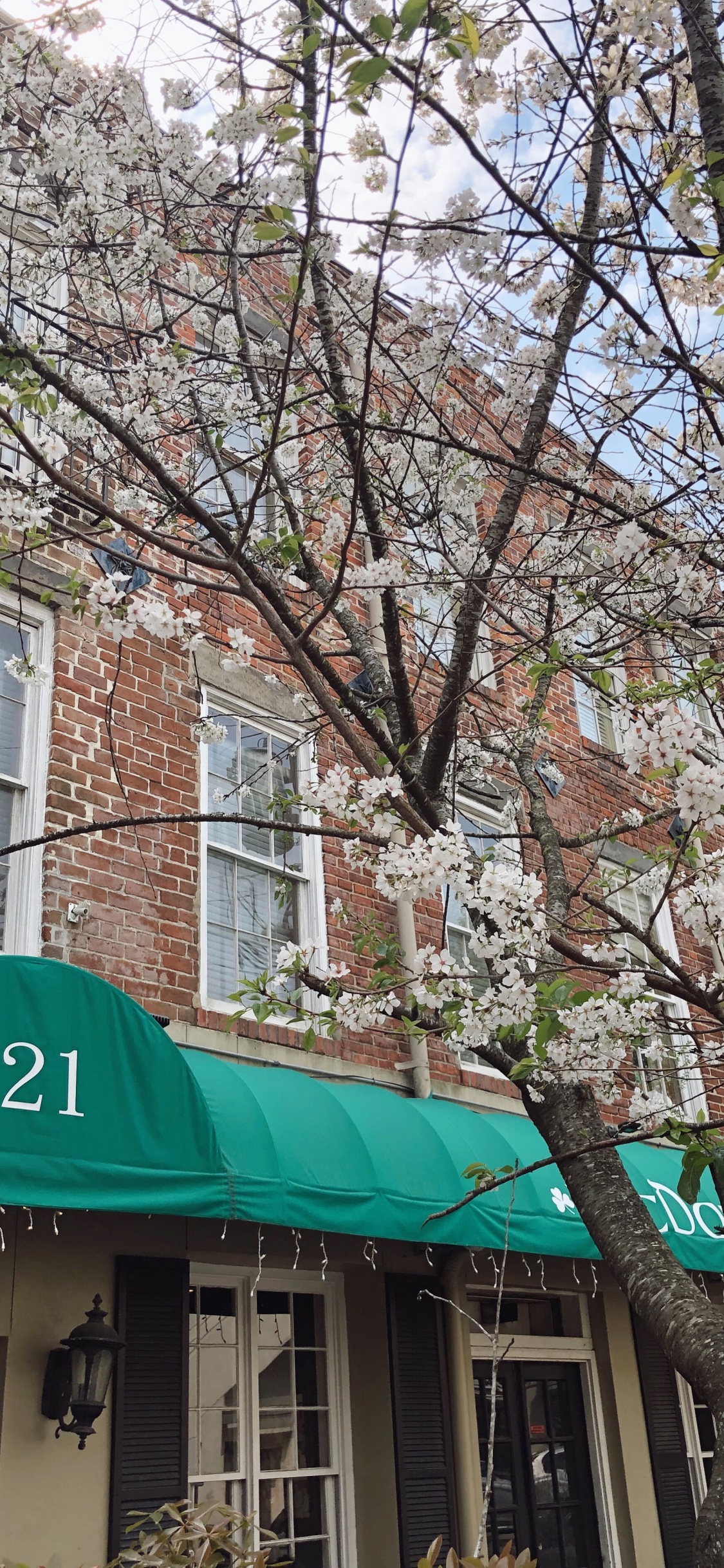 Edificio de Hormigón Rojo y Blanco Cerca de Árboles Desnudos Durante el Día. Wallpaper in 1125x2436 Resolution