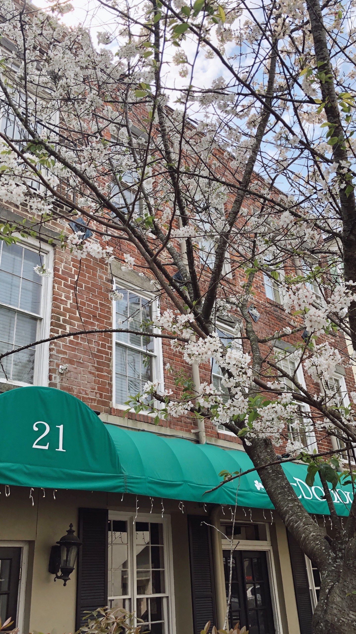 Edificio de Hormigón Rojo y Blanco Cerca de Árboles Desnudos Durante el Día. Wallpaper in 1440x2560 Resolution