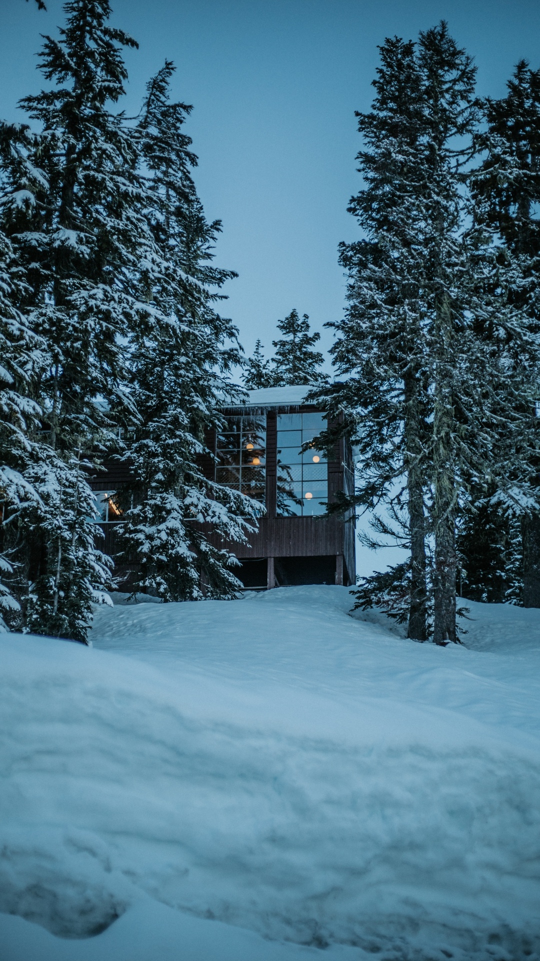 Winter, Haus, Schnee, Baum, Natur. Wallpaper in 1080x1920 Resolution