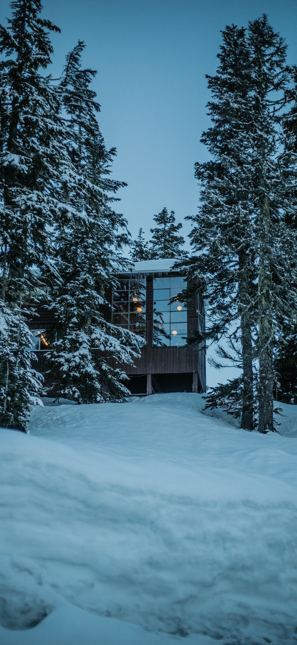 Winter, Haus, Schnee, Baum, Natur. Wallpaper in 1125x2436 Resolution