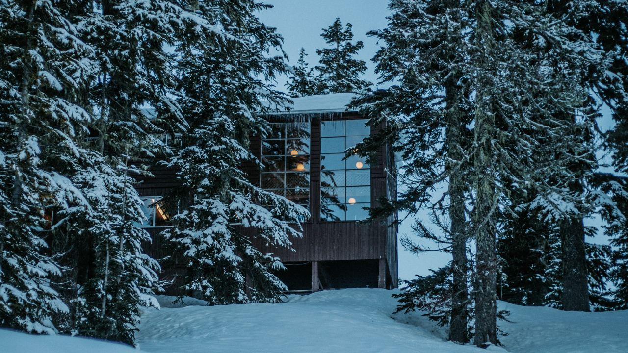 Winter, Haus, Schnee, Baum, Natur. Wallpaper in 1280x720 Resolution