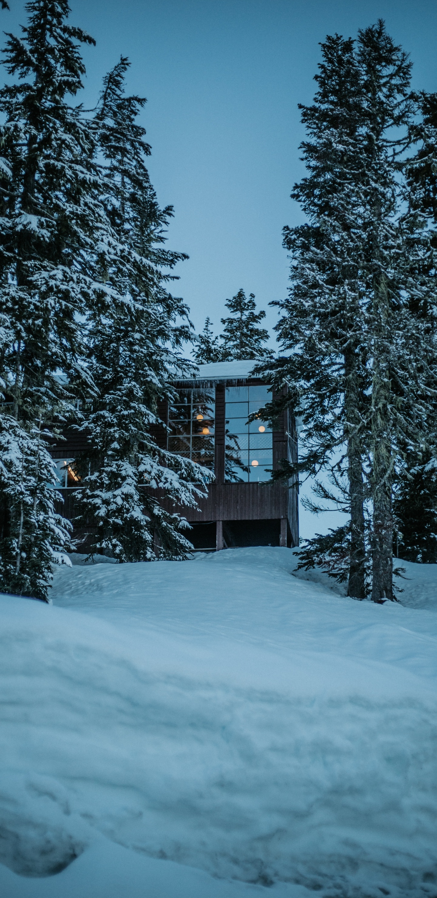 Winter, Haus, Schnee, Baum, Natur. Wallpaper in 1440x2960 Resolution