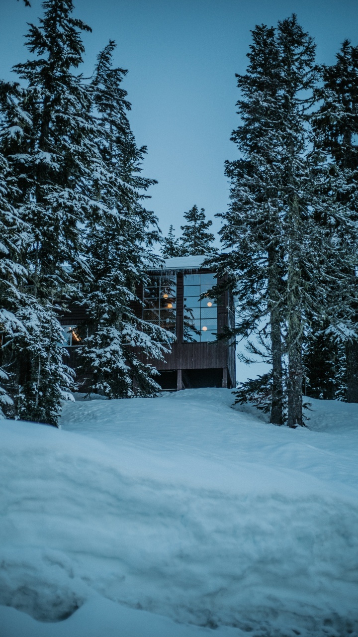 Winter, Haus, Schnee, Baum, Natur. Wallpaper in 720x1280 Resolution