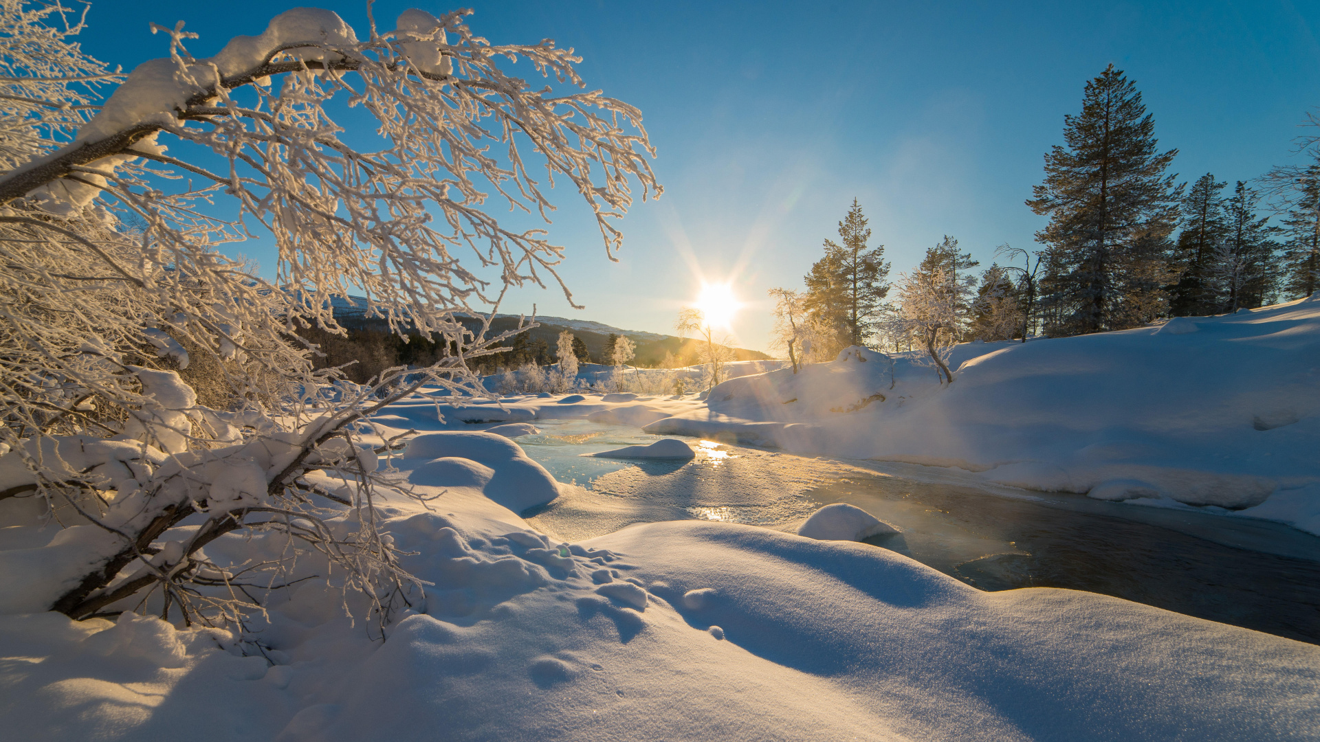 Snow Covered Field With Trees During Daytime. Wallpaper in 1920x1080 Resolution