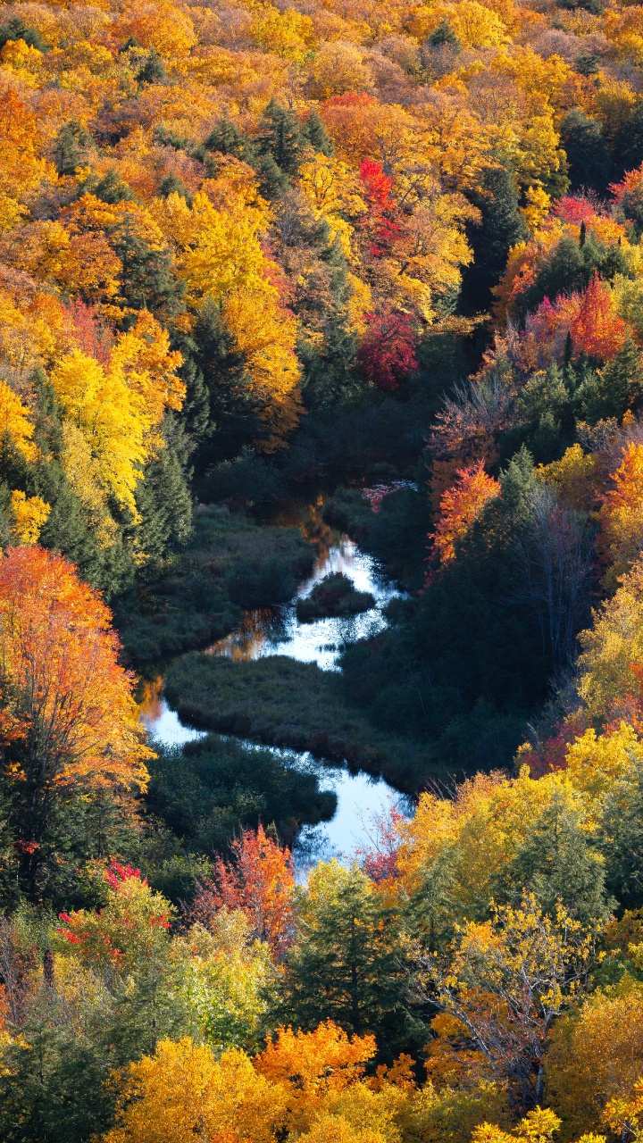 Nature, Paysage Naturel, Feuille, Végétation, Biome. Wallpaper in 720x1280 Resolution