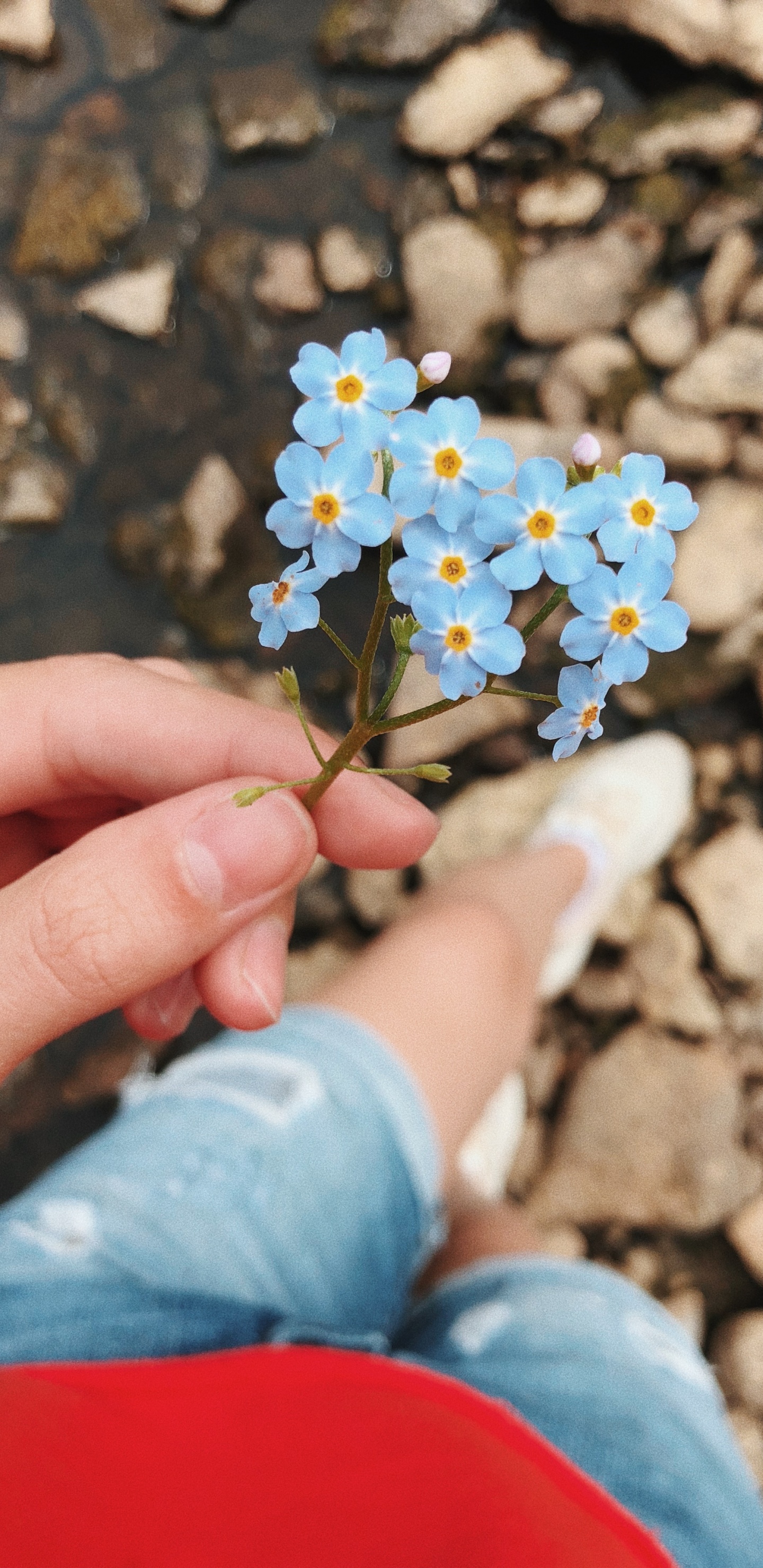 Wissenschaft, Physik, Blau, Finger, Vergessen Sie Mich Nicht. Wallpaper in 1440x2960 Resolution