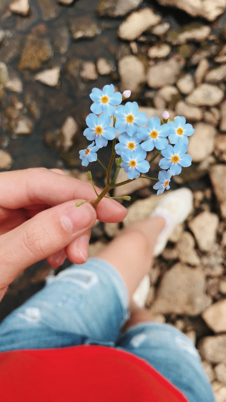 Wissenschaft, Physik, Blau, Finger, Vergessen Sie Mich Nicht. Wallpaper in 750x1334 Resolution