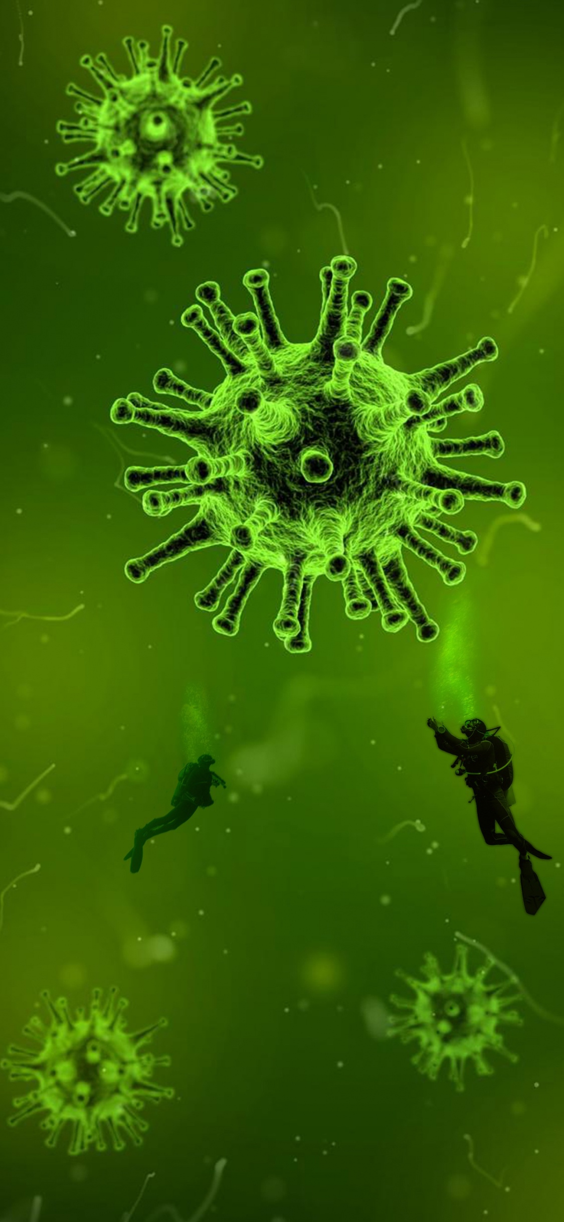 Virus, COVID-19, Coronavirus, Beatport, Plant. Wallpaper in 1125x2436 Resolution