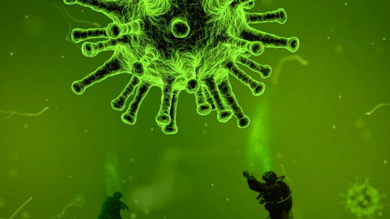 Virus, COVID-19, Coronavirus, Beatport, Terrestrische Pflanzen. Wallpaper in 1366x768 Resolution
