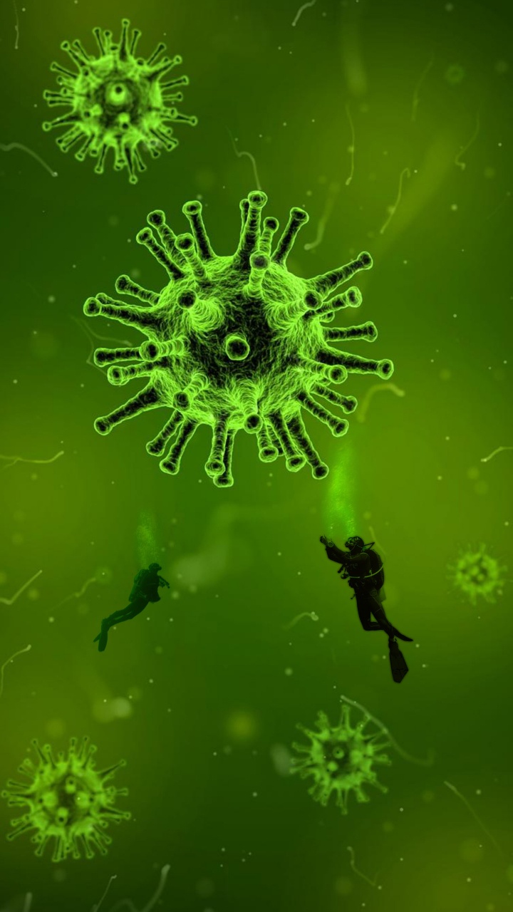 Virus, COVID-19, Coronavirus, Beatport, Terrestrische Pflanzen. Wallpaper in 720x1280 Resolution