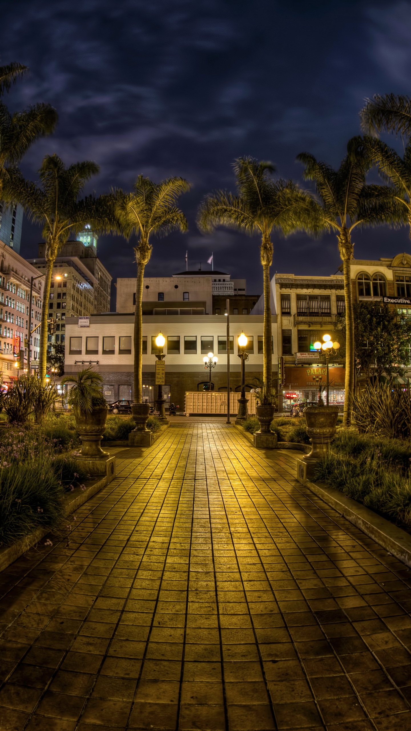 Edificio de Hormigón Marrón y Blanco Cerca de Árboles Verdes Durante la Noche. Wallpaper in 1440x2560 Resolution