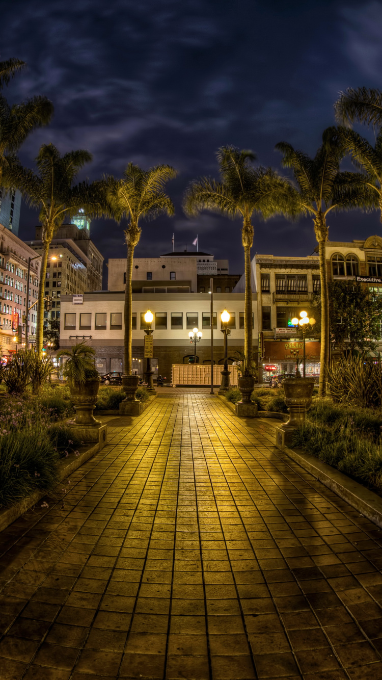 Edificio de Hormigón Marrón y Blanco Cerca de Árboles Verdes Durante la Noche. Wallpaper in 750x1334 Resolution