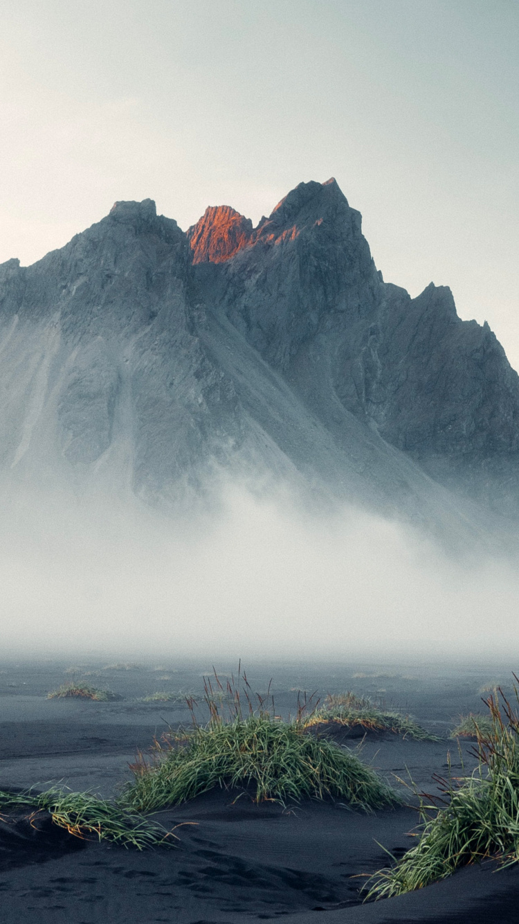 Hungama, Ashamaluevmusic, YouTube, dj Joma, Spotify. Wallpaper in 750x1334 Resolution