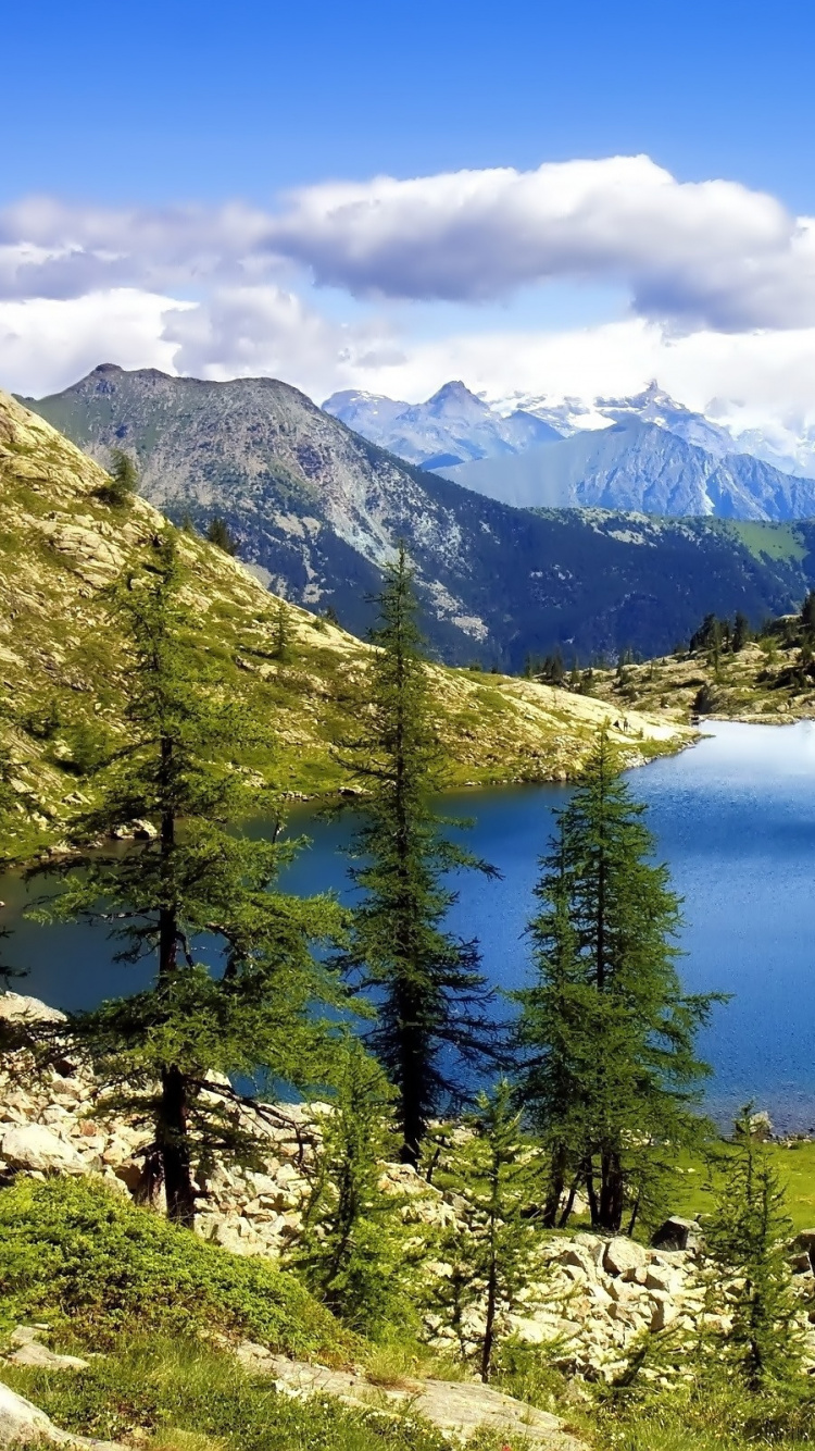 Green Trees Near Lake and Mountains During Daytime. Wallpaper in 750x1334 Resolution