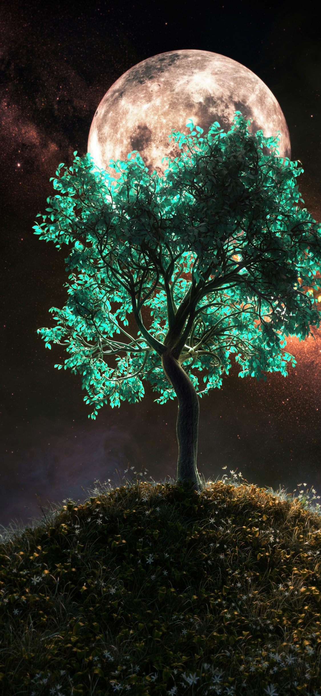 Baum, Smartphone, Atmosphäre, Licht, Botanik. Wallpaper in 1125x2436 Resolution